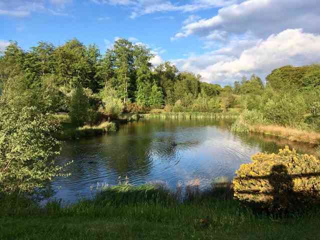 A pretty little lakeside walk, behind the Service Area at Beaconsfield, on the M40.